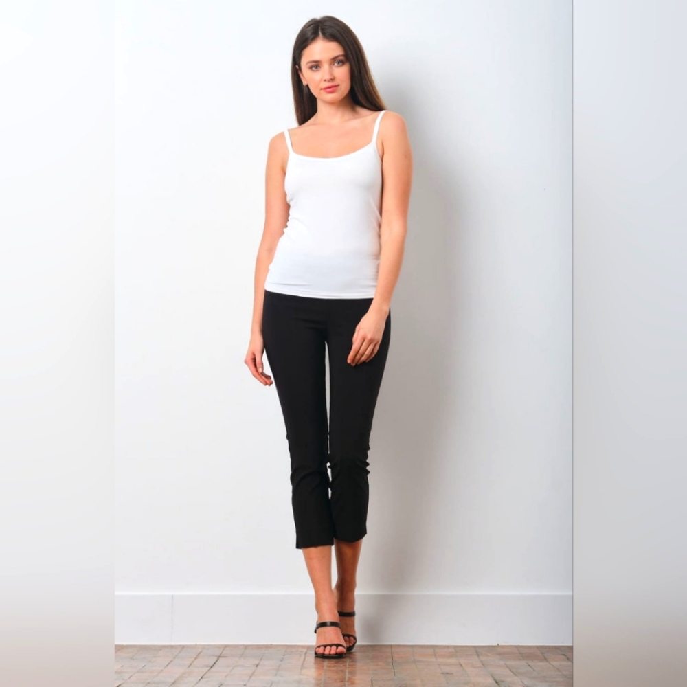 Avenue Mountain Brigitte Straight Capri Pants Size  2